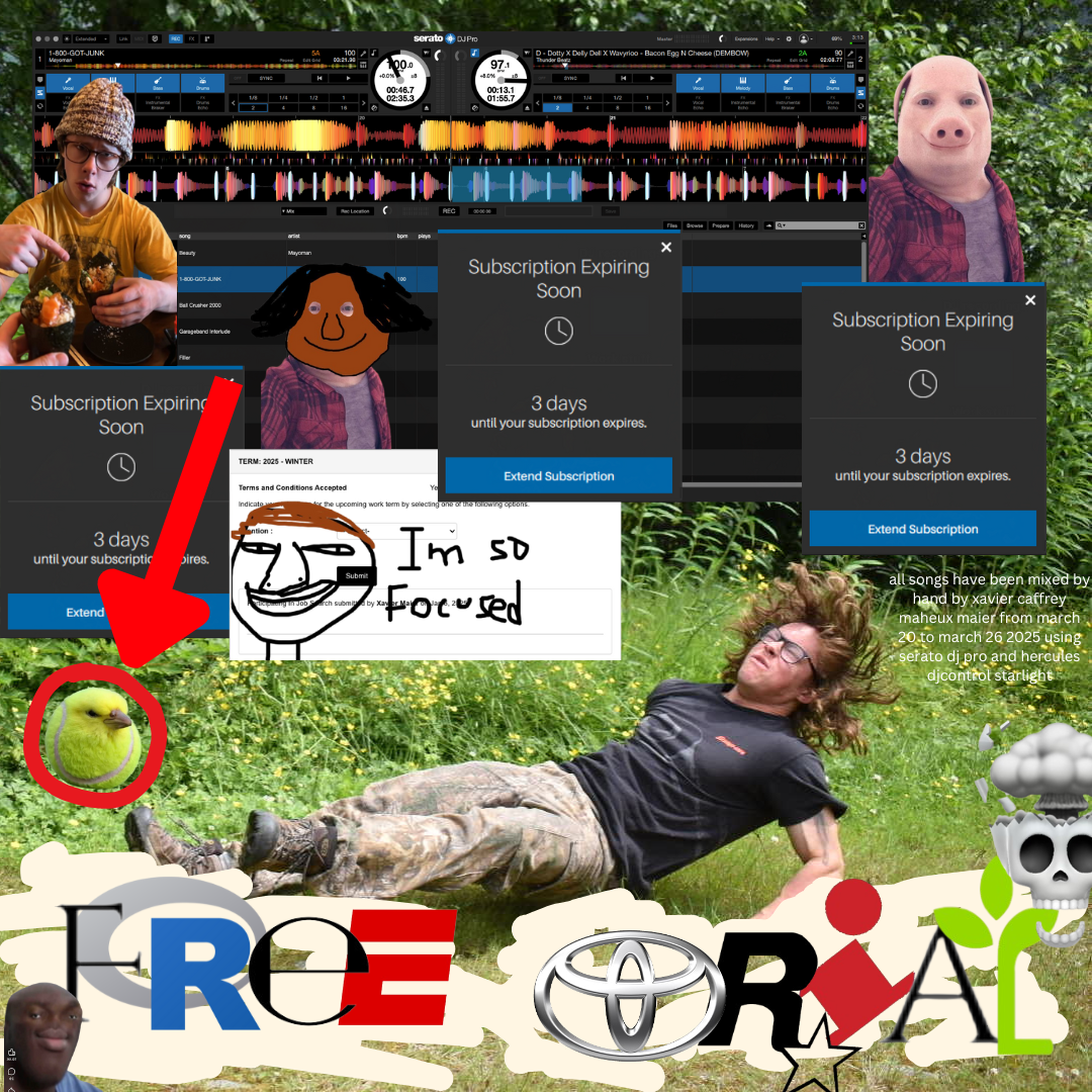 Album Art